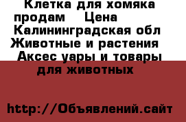 Клетка для хомяка.продам. › Цена ­ 1 000 - Калининградская обл. Животные и растения » Аксесcуары и товары для животных   